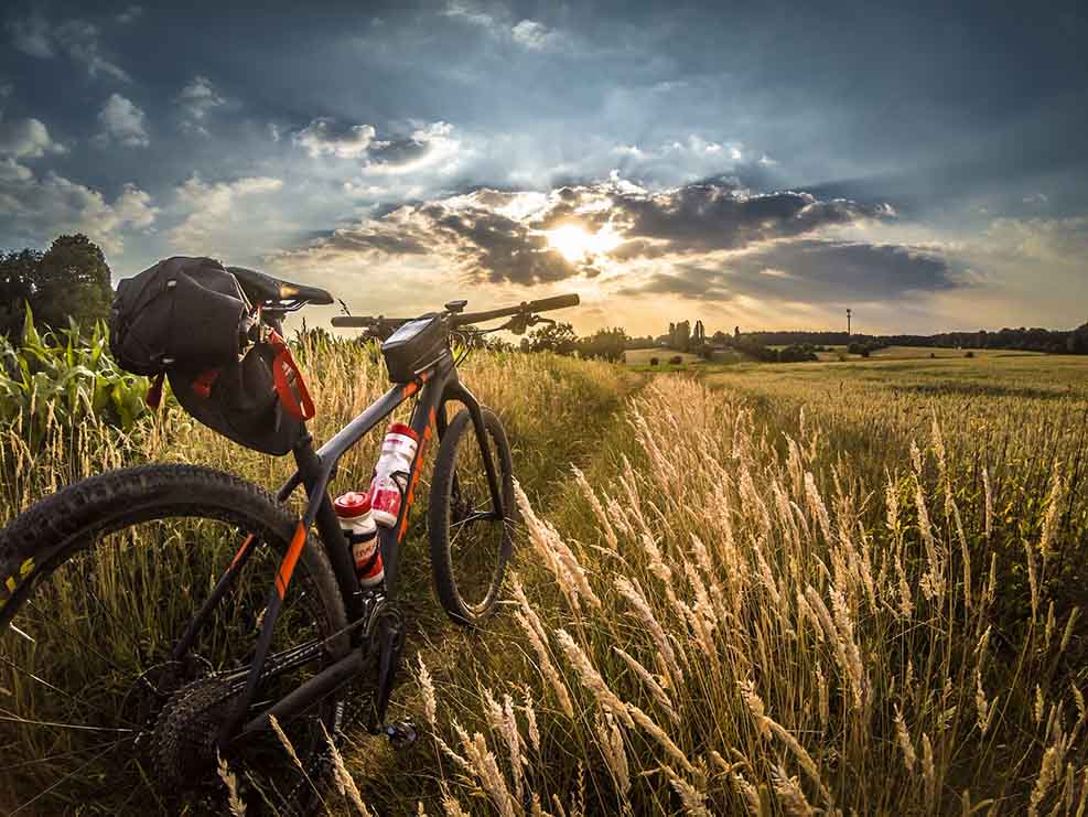 A red and black bike parked in a grass field with the sunset in the distance.